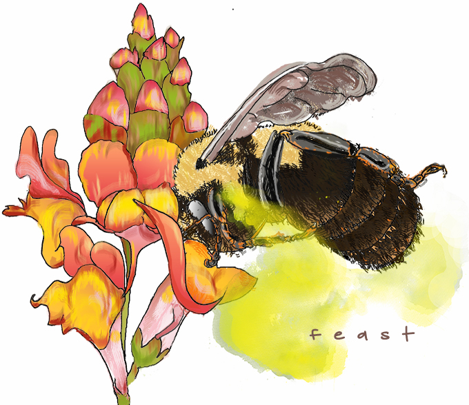 bee